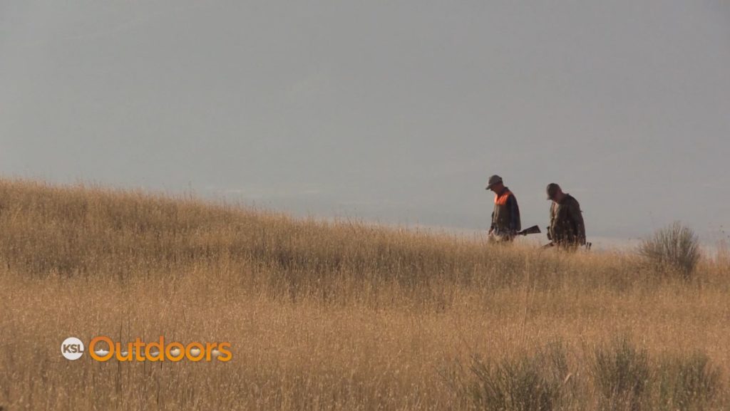 Utah Dove Hunt Opening Day KSL Outdoors