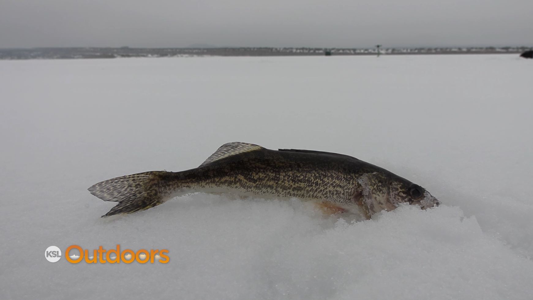 Ice Fishing for Walleye at Starvation Reservoir