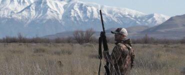 Pheasant hunting in Utah