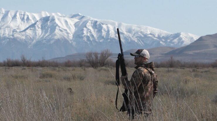 Pheasant hunting in Utah
