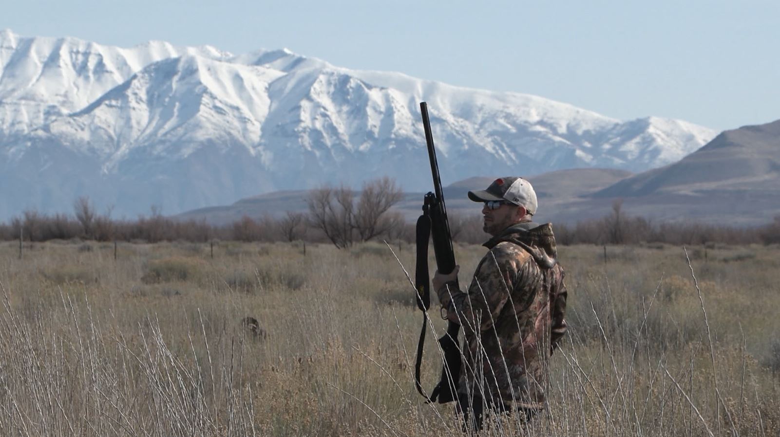 Pheasant hunting in Utah...
