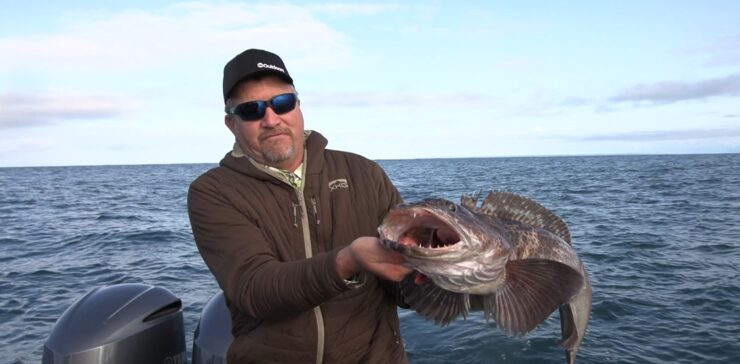 Alaska Fishing Ling Cod