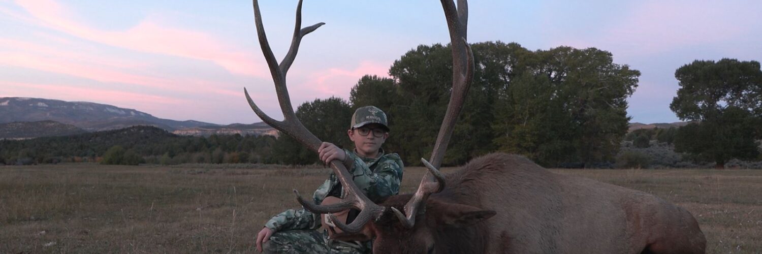 Bull elk on Johnson Mountain Ranch, Utah