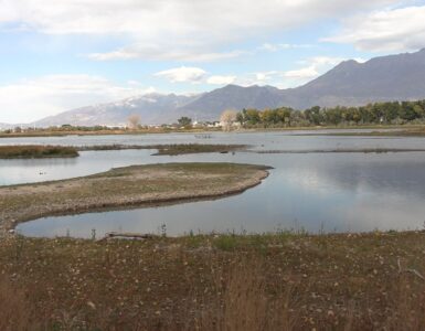 Provo River Delta