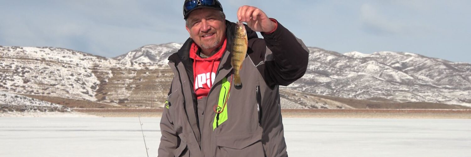 How to Catch and Cook Perch