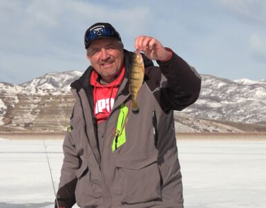 How to Catch and Cook Perch