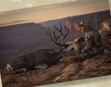 Deer Harvest with Amazing View