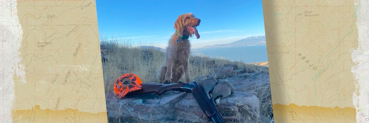Hunting Dog