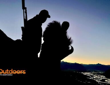 New Zealand Hunting