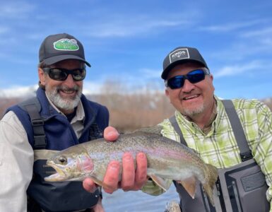 Rainbow Trout on Provo River
