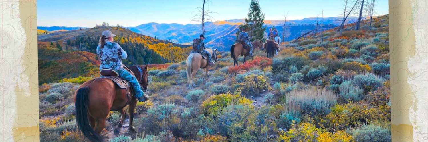 Horseback riding