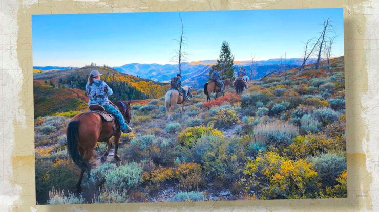 Horseback riding