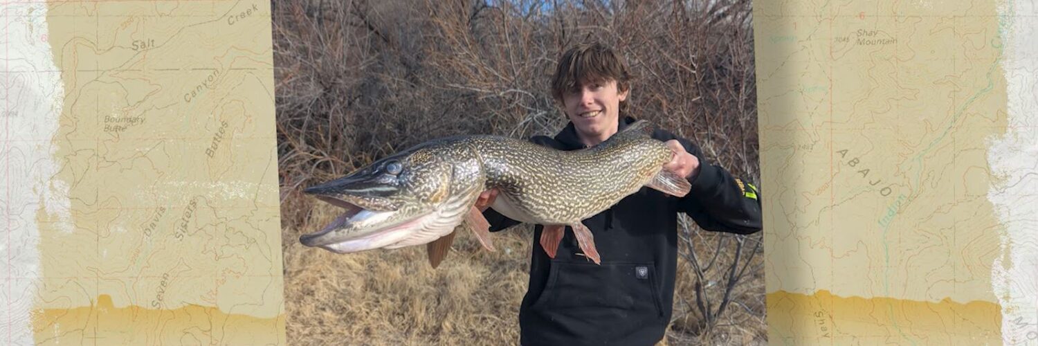 Pike