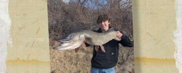 Pike