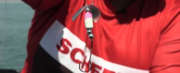 Best Walleye Lure