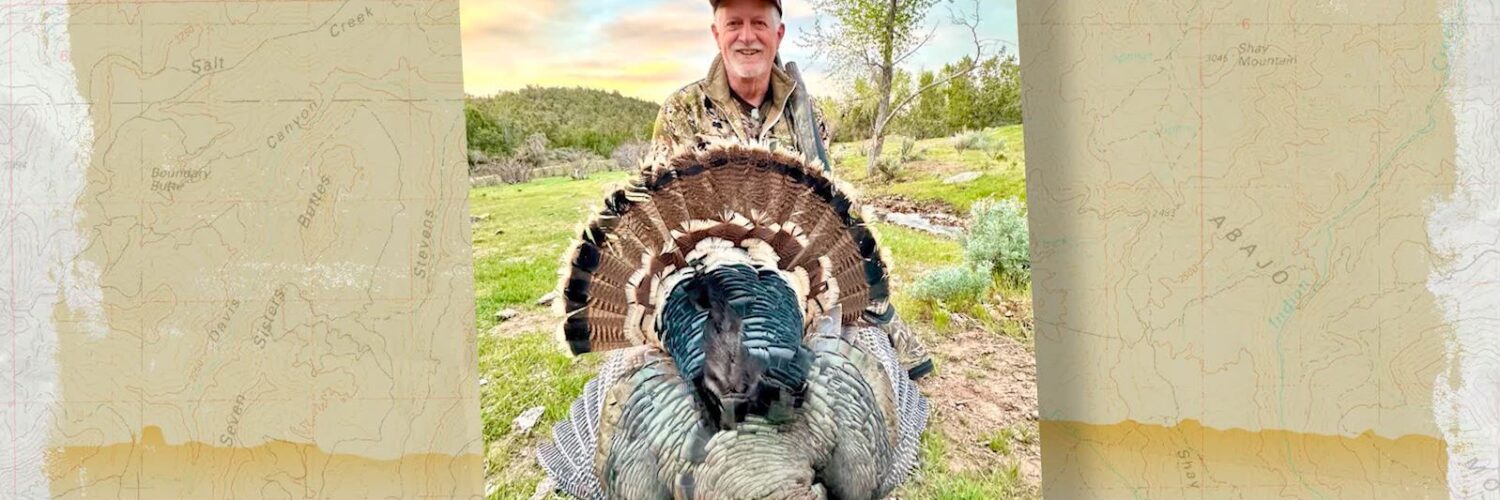 Tom turkey success