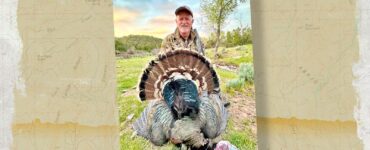 Tom turkey success