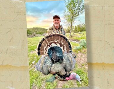 Tom turkey success