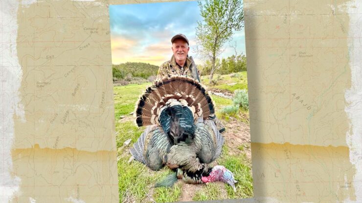 Tom turkey success