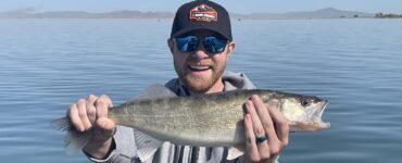 Willard Walleye