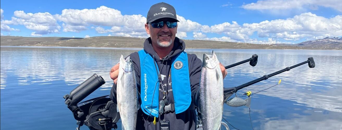 Kokanee Krew Holding Kokanee