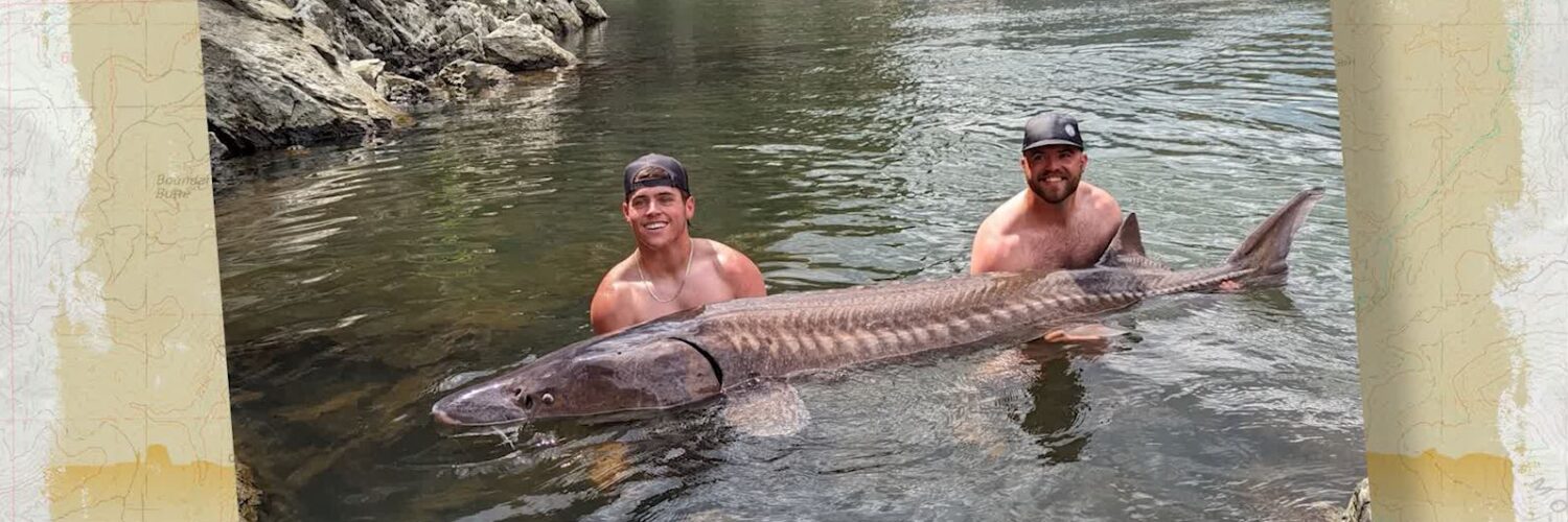 Idaho Sturgeon
