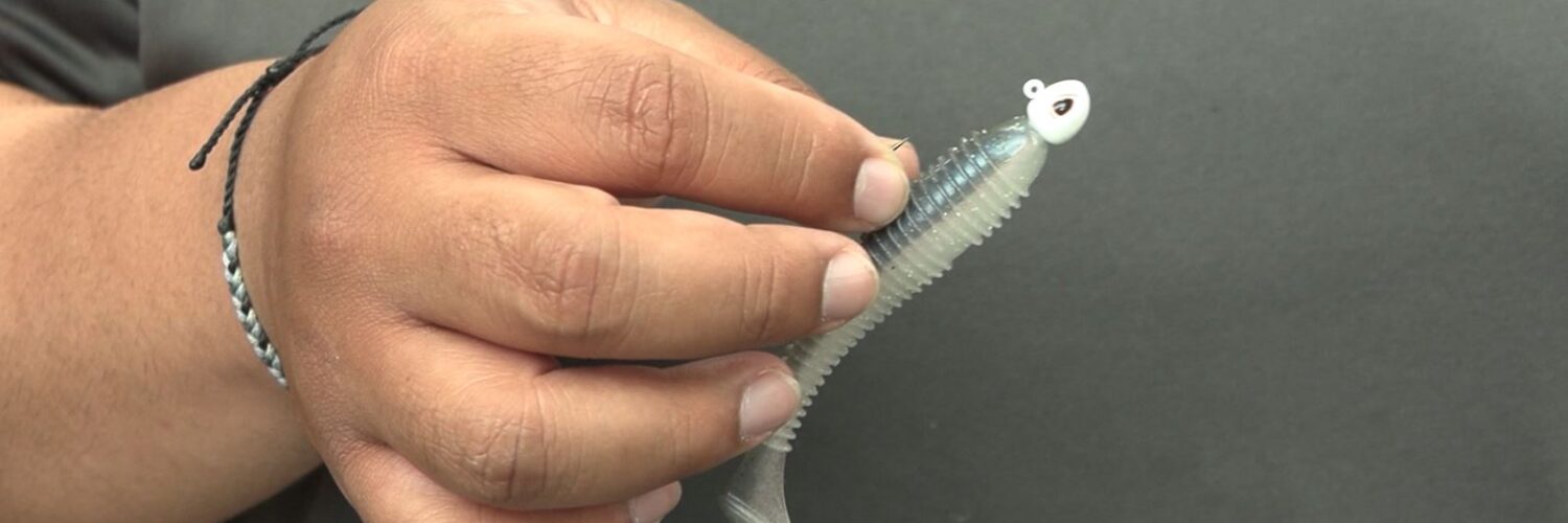 Scheels Bass Lure