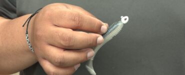 Scheels Bass Lure