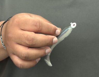 Scheels Bass Lure