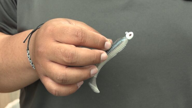 Scheels Bass Lure