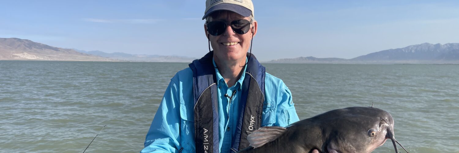Utah Lake Catfish