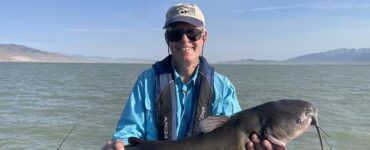 Utah Lake Catfish