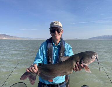 Utah Lake Catfish