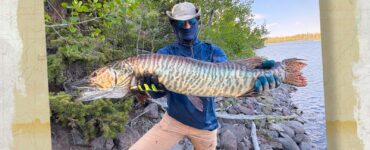 Big Tiger Musky