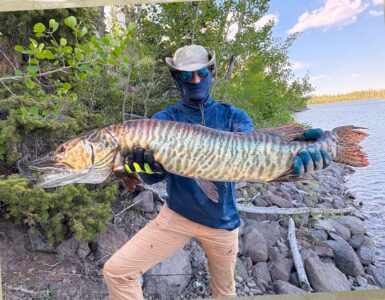 Big Tiger Musky