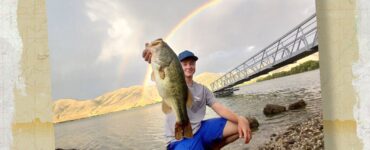 Mantua Summer Bass