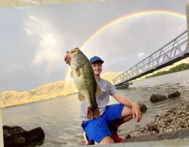 Mantua Summer Bass