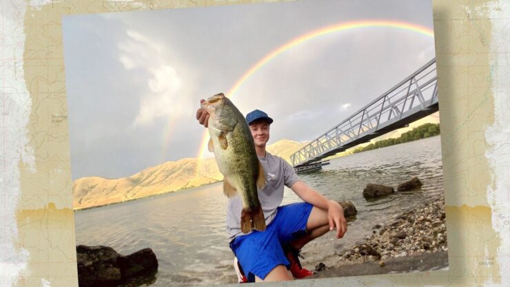 Mantua Summer Bass