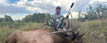 bull elk down 2