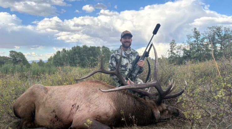 bull elk down 2