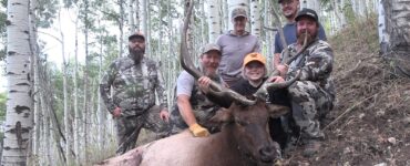Ryan's Bull Elk