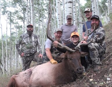 Ryan's Bull Elk