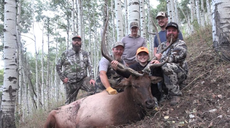Ryan's Bull Elk