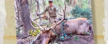 ELK HUNTER