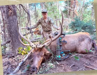ELK HUNTER