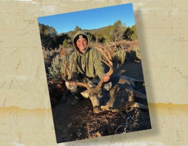 Snapshot Buck Down