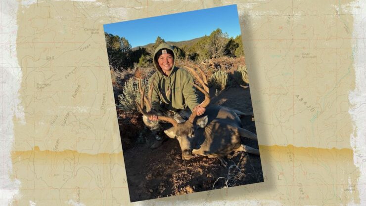 Snapshot Buck Down