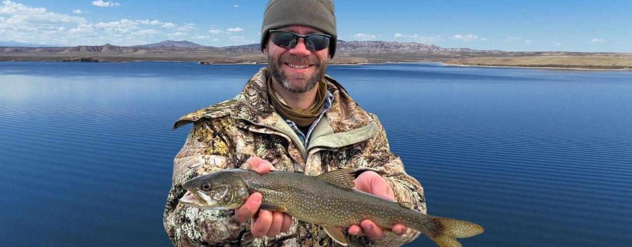 Catch Lake Trout, Make Money