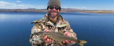 Catch Lake Trout, Make Money