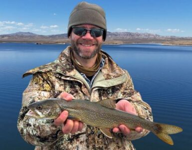 Catch Lake Trout, Make Money